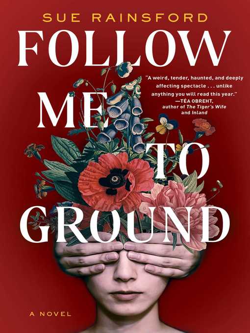 Title details for Follow Me to Ground by Sue Rainsford - Wait list